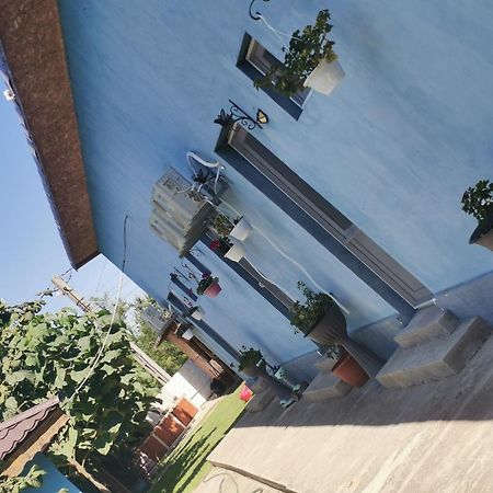 מלון קורבו Casa Andrei A מראה חיצוני תמונה